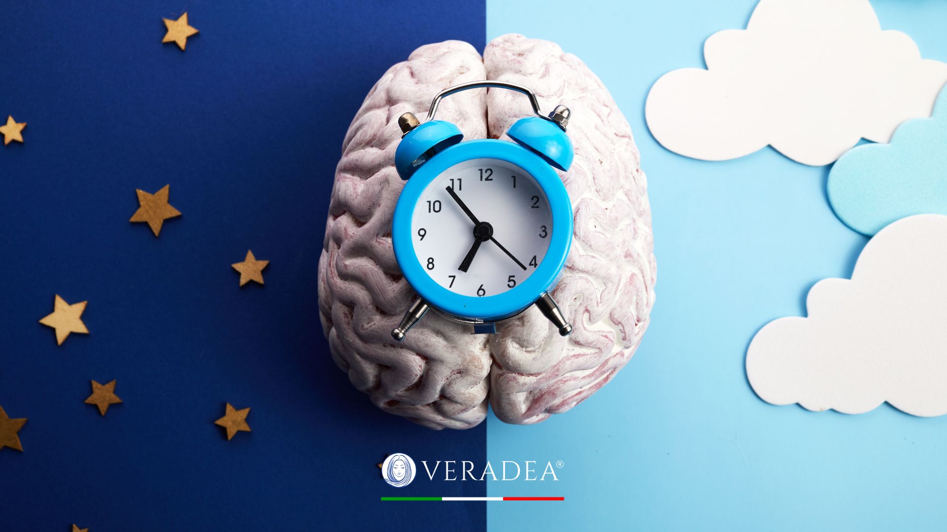 the Circadian Rhythm