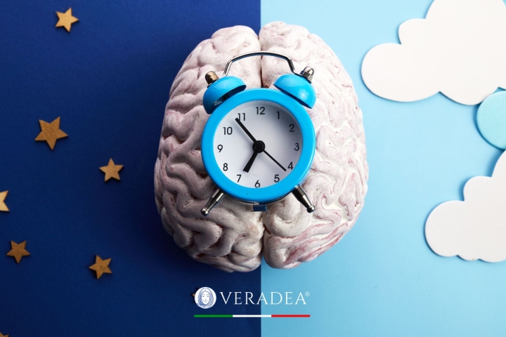 the Circadian Rhythm